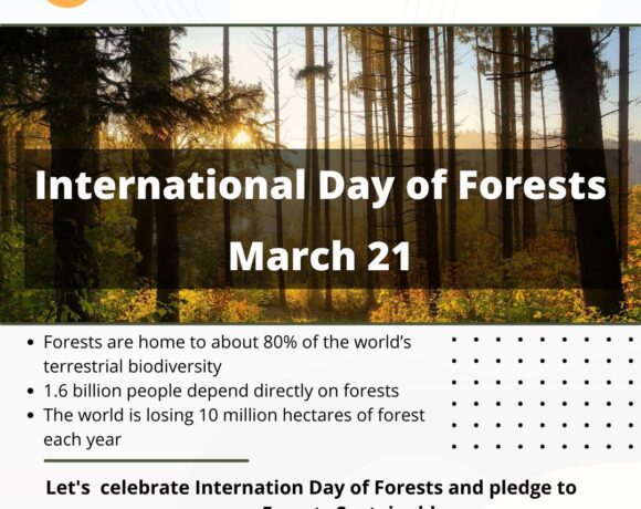 International Day of Forests