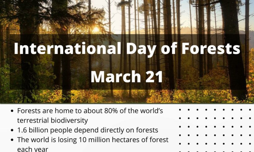 International Day of Forests