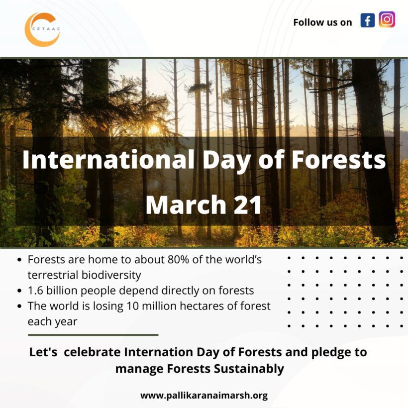 International Day of Forests