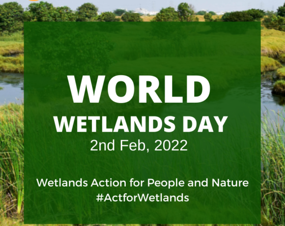 World Wetlands Day