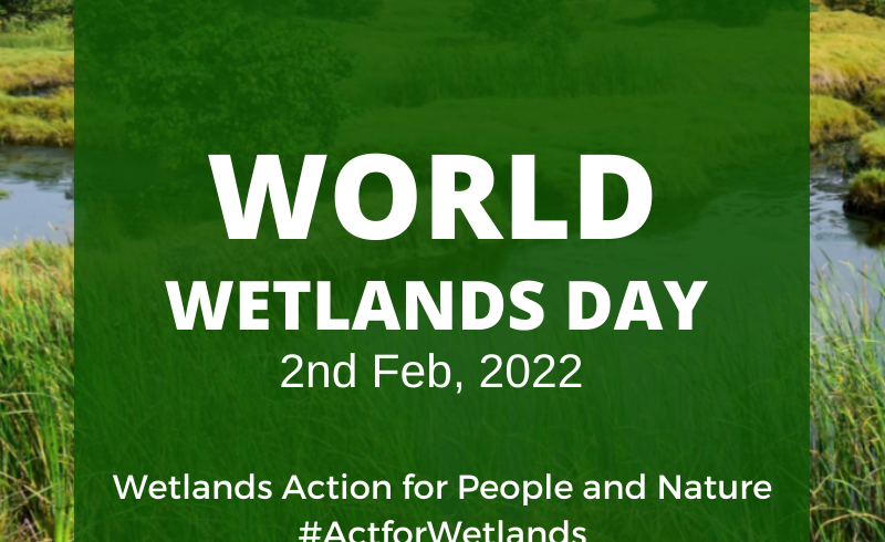 World Wetlands Day