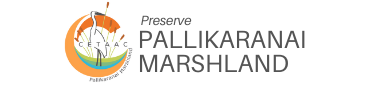 Pallikaranaimarsh